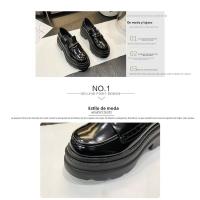 Zapatos de Muffin Gruesos para Mujer Primavera 2025 Estilo Salvaje Pequeños de Cuero con Zapatos Individuales - details 1