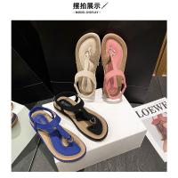 Sandalias Planas para Mujer 2025 Chanclas de Playa con Hebilla Metálica y Bordado - details 28