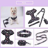 Conjunto arnés perro, chaleco malla ustable cachorro, Collar correa de plomo para caminar, perros pequeños, gatos y gatitos - details 3