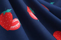 2025 Primavera/Verano nuevo vestido de fiesta para niñas con estampado azul claro fresco - details 12