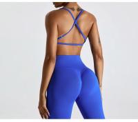 Conjunto de Yoga para Mujer Ropa Deportiva de Entrenamiento de Malla Transpirable Secado Rápido 2 Piezas Chaleco y Shorts para Correr y Modelar Espalda Material de Nylon - details 6
