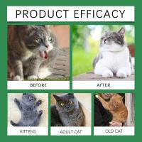 Cápsulas Multivitamínicas Lei Gong para Gatos Mejora la Salud del Pelaje, Protección Ocular, Impulso de Energía Diario 80Pcs No Eléctricas, con Vitaminas A, B, C, E, K - details 8