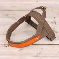 Traje de Arnés de Cuero de Nylon para Perros Chaleco Pequeño, Mediano, Bulldog Francés - details 5