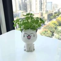 ETA de cerámica con mini gato, hermosas plantas de dibujos animados, ETA de escritorio, juguetes decorativos de bricolaje, educación científica, regalo escolar, 1 pieza. - details 6
