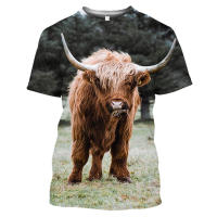 Camiseta de toro español para hombre, Tops con estampado 3D, sudadera de manga corta a la moda, jersey de cuello redondo de verano, ropa informal - details 4