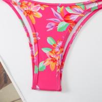 Conjunto de dos piezas Traje de baño sexy con tanga estampado para mujer Primavera/Verano 2024 - details 1