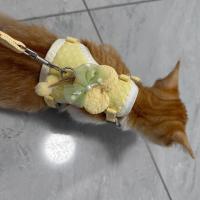 Arnés tipo chaleco para mascotas transpirable a la moda, correa ajustable para el pecho para perros a prueba de Escape, juego de correa ligera para mascotas de uso diario - details 3