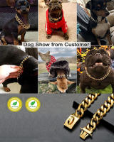 Collares Cadena Perros Fuertes Acero Inoxidable