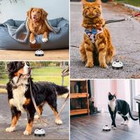 Timbre de Lata de Mesa Llamada de Campana de Mão para Mascotas Juguete de Campana de Comida de Navidad - details 8
