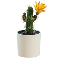 Mini bonsái Premium Cactus en maceta adornos plantas artificiales ligeras - details 2