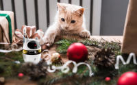 Interactive Cat Toys,3-in-1 Funny Exercise Electric Rotating Cat Toys for Indoor Cats Laser Toy,Automatic Cat Ball Kitten Toys - details 7