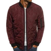 Nueva Chaqueta de algodón de invierno para hombre, Chaqueta de algodón ligera prensada de malla con cuello de béisbol, manga larga informal de vuelo Vintage - details 4