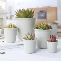 Maceta de plástico de 5 uds., maceta de resina gruesa para plantas, maceta suculenta para interiores y exteriores, maceta redonda anticerámica creativa para flores - details 8