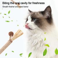Palos de Silvervine Juguete Natural para Gatos Dental Higiene Limpieza de Dientes - details 3