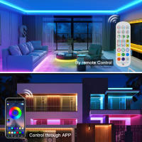 GAHADA Tira de LED Néon Moderna Control Remoto de 24 Botones Conectividad WIFI - details 1