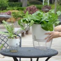 Plástico usado autoirrigación de plantas hidropónicas, ETEros en jugoso ETA, decoración de escritorio transparente para hogares y oficinas - details 10
