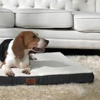 Cama Ortopédica para Perros Pequeños Bedsure Almohada de Perro Lavable con Forma de Huevo - details 8