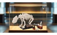 Ursus Spelaeus (Cave Bear)