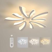 Plafón LED Regulable Control Remoto 48W 5400LM 3000K-6500K Día 70cm Ideal para Sala de Estar, Dormitorio, Comedor, Baño, Pasillo Blanco - details 0