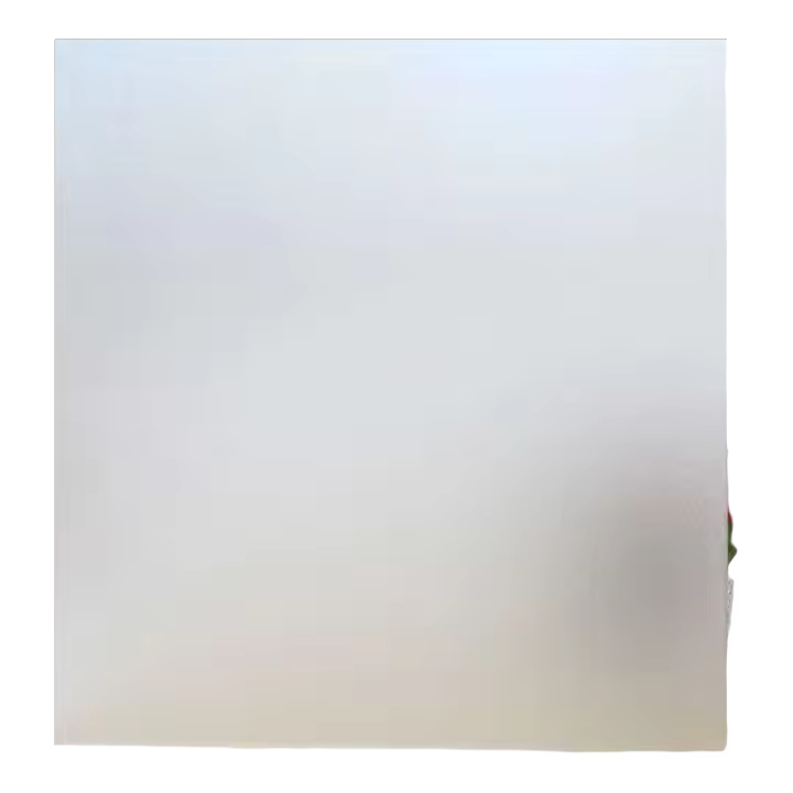 Pegatina de Ventana de Vidrio Mate Opaquo Cubierta de Puerta de Film Sellado Anti-UV para Oficina y Hogar Almanza de Papelería y Artesanías - 1