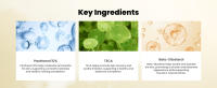 key ingredients