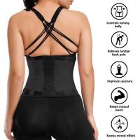 Cinturón de Miss belt para mujer, moldeador de cuerpo, entrenador de cintura, forma de cuerpo, Fitness - details 1