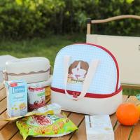 Bolsa de almuerzo de dibujos animados de doble capa, bolsa térmica aislada de gran capacidad para Picnic, bolsa de mano aislada a prueba de fugas para niñas - details 10
