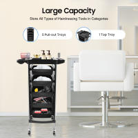 Estantería de salón, carrito de herramientas de salón, herramientas de peluquería, carrito de belleza con empuje para conductor - details 0