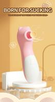 Juguete sexual femenino, succionador de clítoris, vibrador con carga USB, diez bandas vibradoras de clítoris, productos impermeables para adultos, succionador de clítoris, tienda de sexo. - details 0