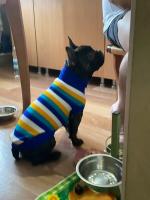 Suéter Cálido para Mascotas Ropa de Invierno para Perros Pequeños y Medianos - details 1