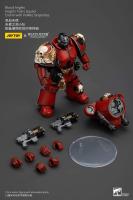JOYTOY 40k 1/18 Figuras de acción Anime 12cm Blood Angels Angel's Tears Squad - details 5