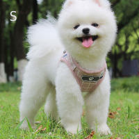 Correa Reflectante Transpirable para Perros Pequeños Collares de Mascotas Hechos en China - details 8