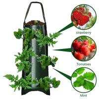 Bolsas para cultivo de fresas, suministros de plantación de jardín de alta resistencia con mango para patios traseros, terrac y - details 5