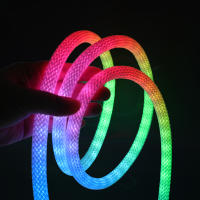 Luz de neón LED WS2812B RGB de 5V, cinta de píxeles flexible direccionable individualmente, Color de ensueño, tira de LED USB, lámpara de cuerda de silicona impermeable - details 9