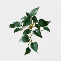 Plantas de hierba de moneda de cobre Artificial suave, hojas de hiedra falsas hechas a mano realistas, Mini ramo para colgar en la pared, decoración del hogar - details 11
