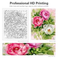 RUOPOTY Pintura Numerada 40x50cm para Adultos Kit de Arte de Pared Moderno con Flores Regalo DIY Pintura por Números para Decoración del Hogar - details 0