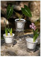 Nuevo estilo, maceta transparente transpirable con autorriego, maceta transparente para jardín, macetas de plástico para plantas - details 0