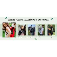 Mochilas de viaje para perros