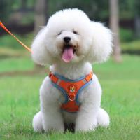 Conjunto de arnés y correa reflectante para perro y gato, chaleco ajustable para caminar al aire libre, perros pequeños y medianos - details 9