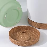 Macetas ligeras y grandes para plantas de interior y exterior, macetas de plástico grandes con drenaje - details 3
