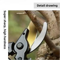 Tijeras De Poda Horticultura Forma De Pico De Pájaro SK5 Para Rama De Frutas Flores Poda De Jardín Herramientas De Poda Para El Hogar - details 10