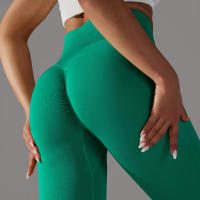 Leggings de yoga sin costuras para mujer, ropa deportiva de entrenamiento, pantalones deportivos de cintura alta - details 25