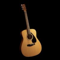 Yamaha F310