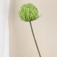 Flor de Leucospermum Artificial de tacto Real, elegante, hecha a mano, garra de cangrejo, crisantemos, alfiletero de plástico, rama de flor - details 8