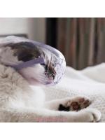 Bozal para gatos y perros, máscara protectora facial a prueba de mordeduras, para aseo, transpirable, bozal de PVC transparente - details 4