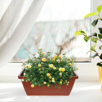 METRO rectangular de plástico flores verduras, ventanas CA con bandejas de té para uso interior y exterior, 4 piezas - details 1