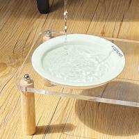 Cuenco individual/doble para gatos con soporte acrílico, protege la columna Cervical, cuenco de cerámica antiderrames para comida de mascotas, antivómitos, antideslizante - details 13