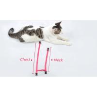 Set de Correa Ajustable de Nylon para Mascotas al Aire Libre Correa de Montura para Conejo Gato - details 4