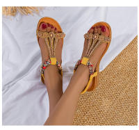 7272-1 Verano Nueva Tendencia Versátil Sandalias Cómodas Ligeras con Banda Elástica para Mujer - details 25