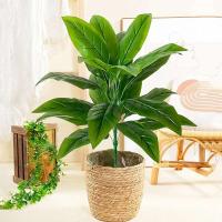 Plantas artificiales grandes para decoración del hogar, ramas de hojas de árboles pseudo tropicales de tacto real, plantas de plástico para jardín, 68 - details 0